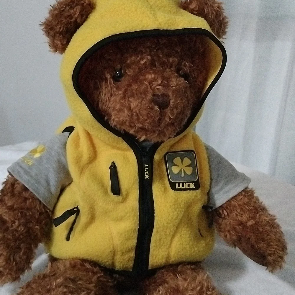 Wish Bear Luck limited edition